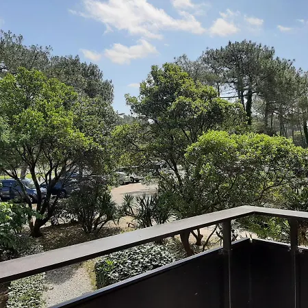 Apartment Cosy Proche Ocean Et Commerces, Parfait Pour Des A Deux! - Fr-1-239-437 Seignosse
