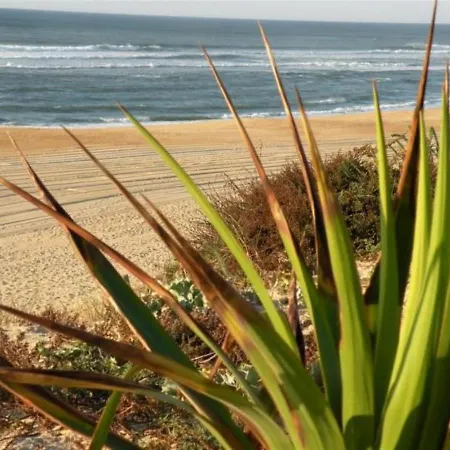 Cosy Proche Ocean Et Commerces, Parfait Pour Des A Deux! - Fr-1-239-437 Apartment Seignosse