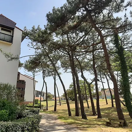 Apartment Cosy Proche Ocean Et Commerces, Parfait Pour Des A Deux! - Fr-1-239-437 *