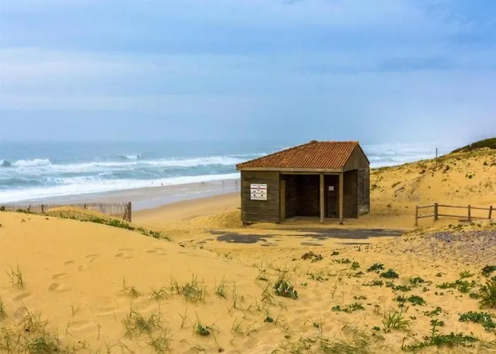 Cosy Proche Ocean Et Commerces, Parfait Pour Des A Deux! - Fr-1-239-437 * Seignosse